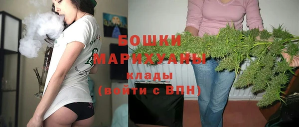 таблы Бородино