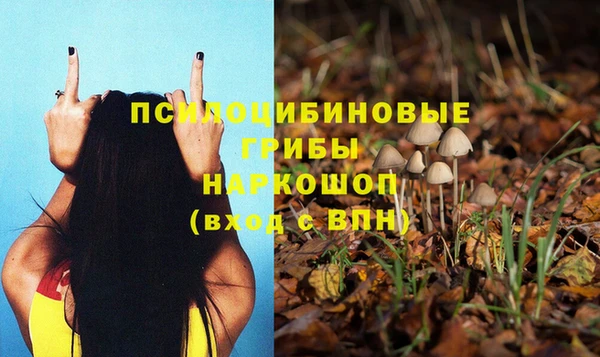 таблы Бородино