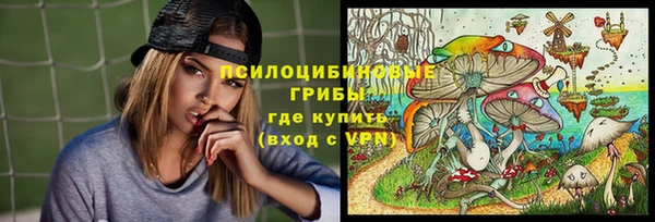 таблы Бородино