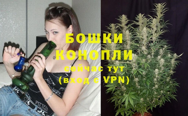 таблы Бородино