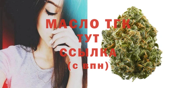 таблы Бородино