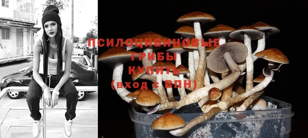 соль курить ск Бронницы