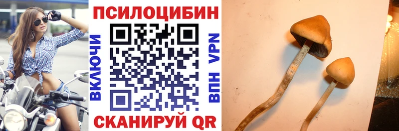 OMG сайт  Мирный  Галлюциногенные грибы Psilocybe 
